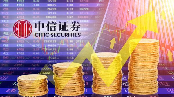 公募证券(公募证券投资)